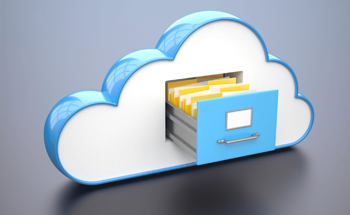 Website backup services provider